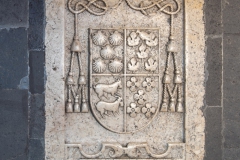 5U5A3282